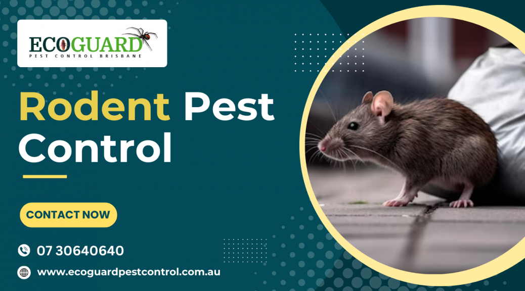 Rodent pest control in Brisbane