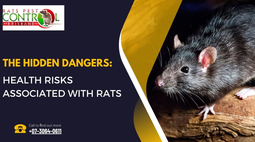 Rats Pest Control near me