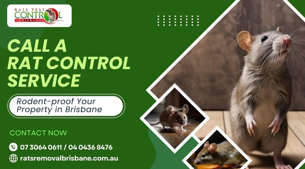 rat control in Brisbane