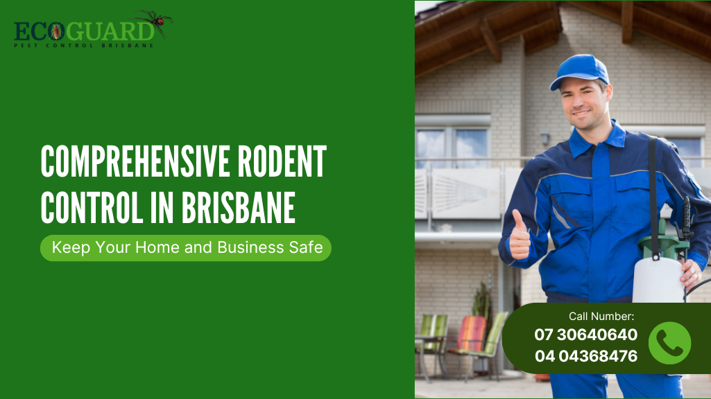 Comprehensive Rodent Control in Brisbane: Keep Your Home and Business Safe