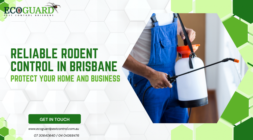 Reliable Rodent Control in Brisbane: Protect Your Home and Business